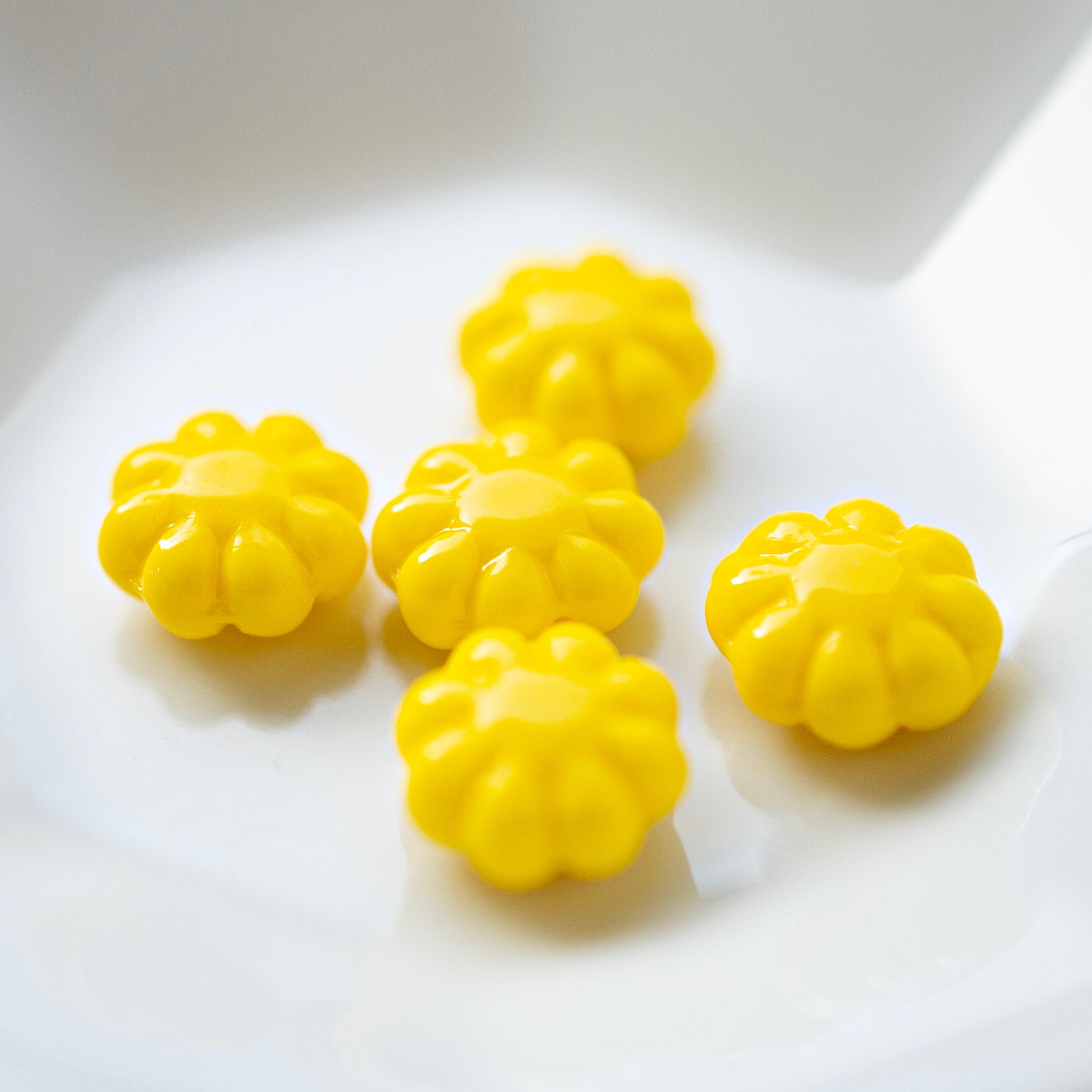 Daisy Flower Opaque Yellow