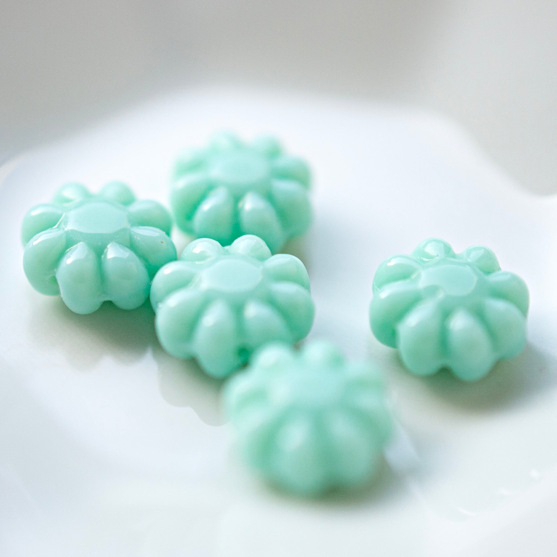Daisy Flowers Mint