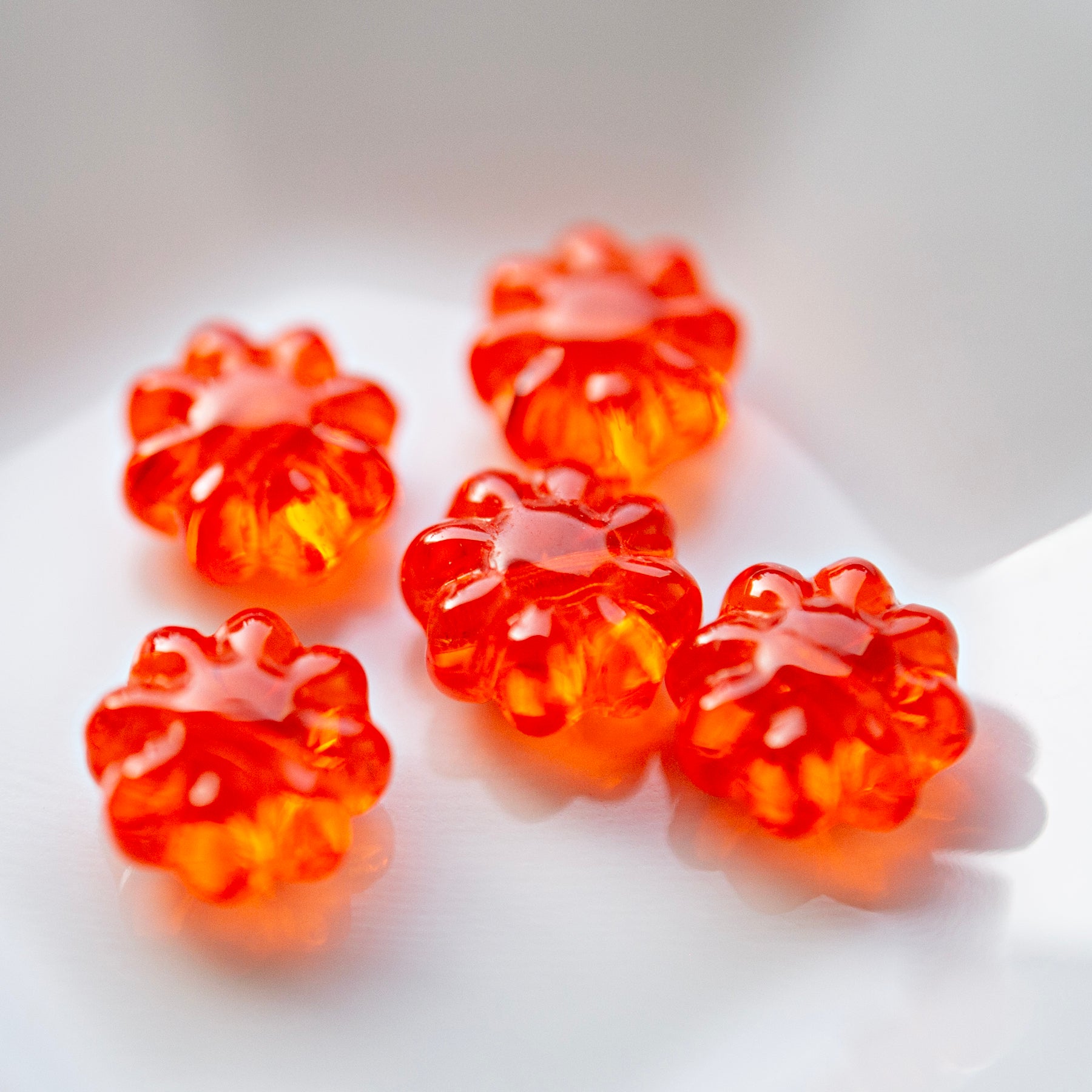 Daisy Flowers Red-Orange