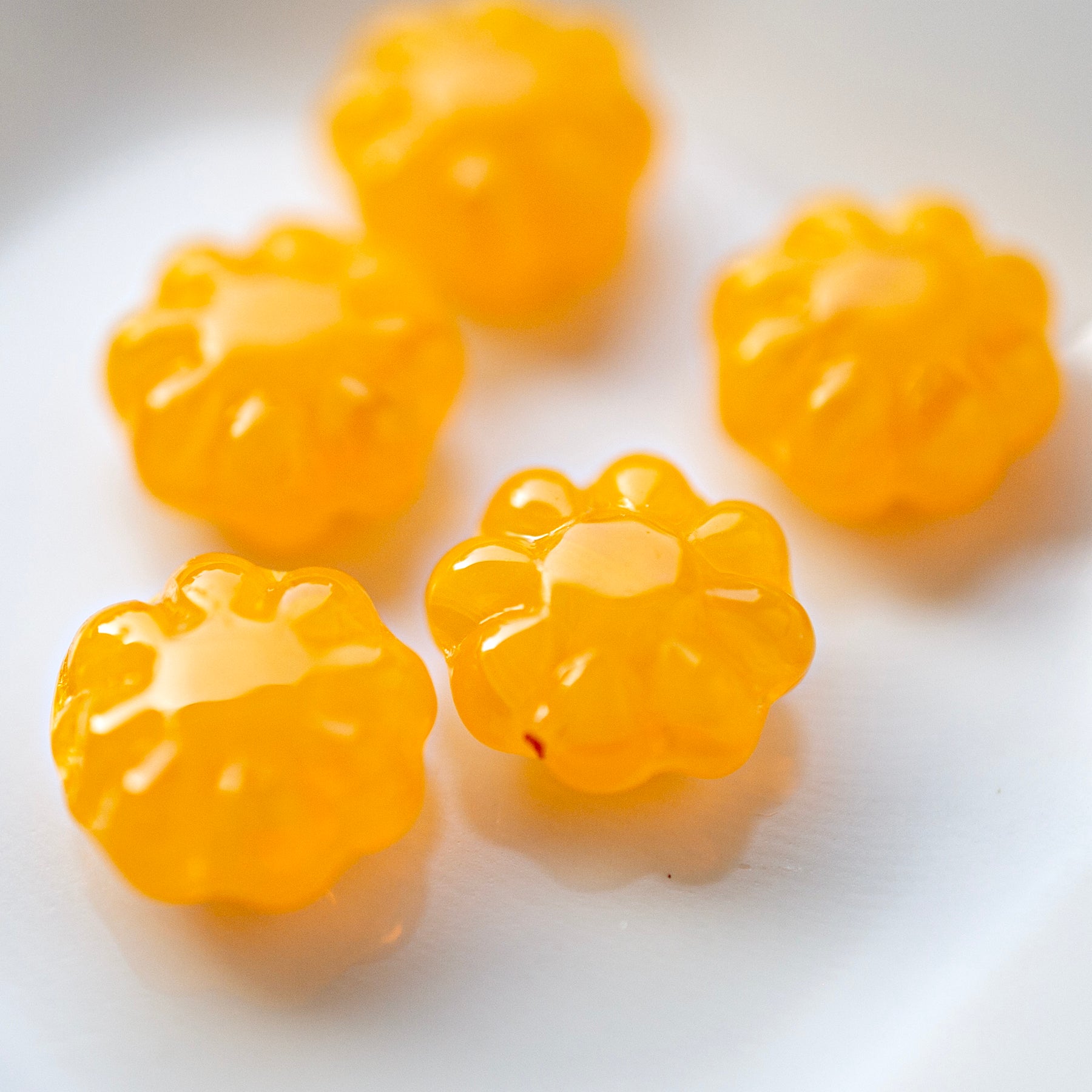 Daisy Flowers Sunkist