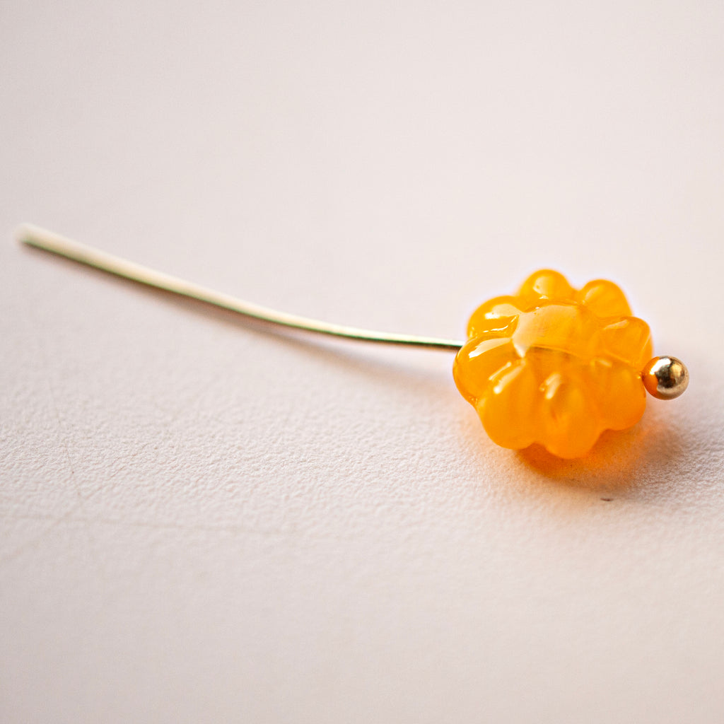 Daisy Flowers Sunkist