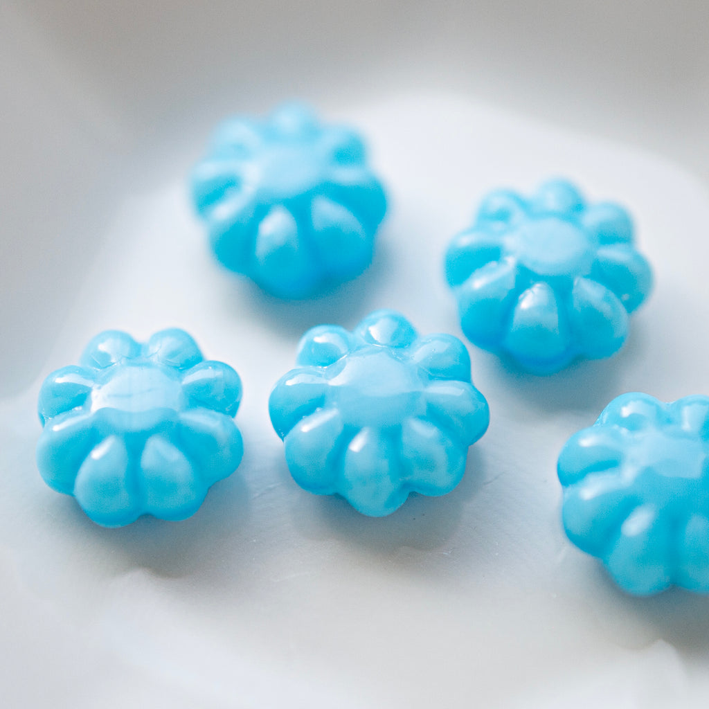 Daisy Flowers Blue