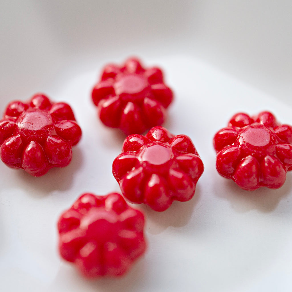 Daisy Flowers Red
